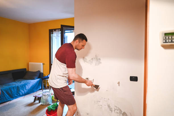 Best Black Mold Remediation in Ossun, LA